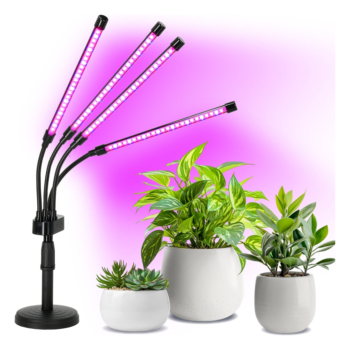 Pflanzenlampe kaufen | Pflanzen zchten | Bester Preis  MeinLED