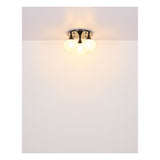 Plafondlamp MAXY ø24CM  E27 1-Lichts Helder