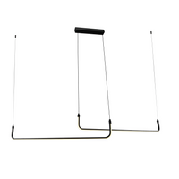 Schwarze minimalistische Pendelleuchte mit doppelten horizontalen Lichtbalken, modernes Design in Seitenansicht vor weißem Hintergrund.