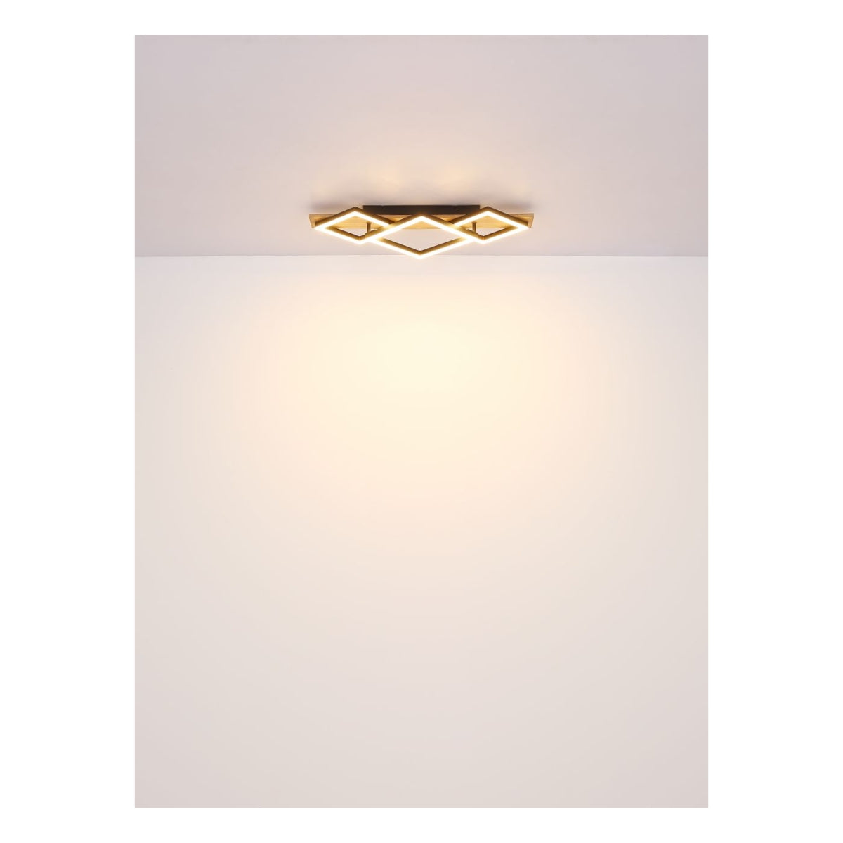 Plafondlamp BEATRIX 18 Watt Matt zwart 1-Lichts