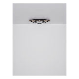 Plafondlamp BEATRIX 30 Watt Matt zwart 1-Lichts