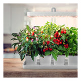 Mini-Innengarten / Anbauset / Gemüsegarten mit LED-Wachstumslampe 20 Watt | BLÜHEN