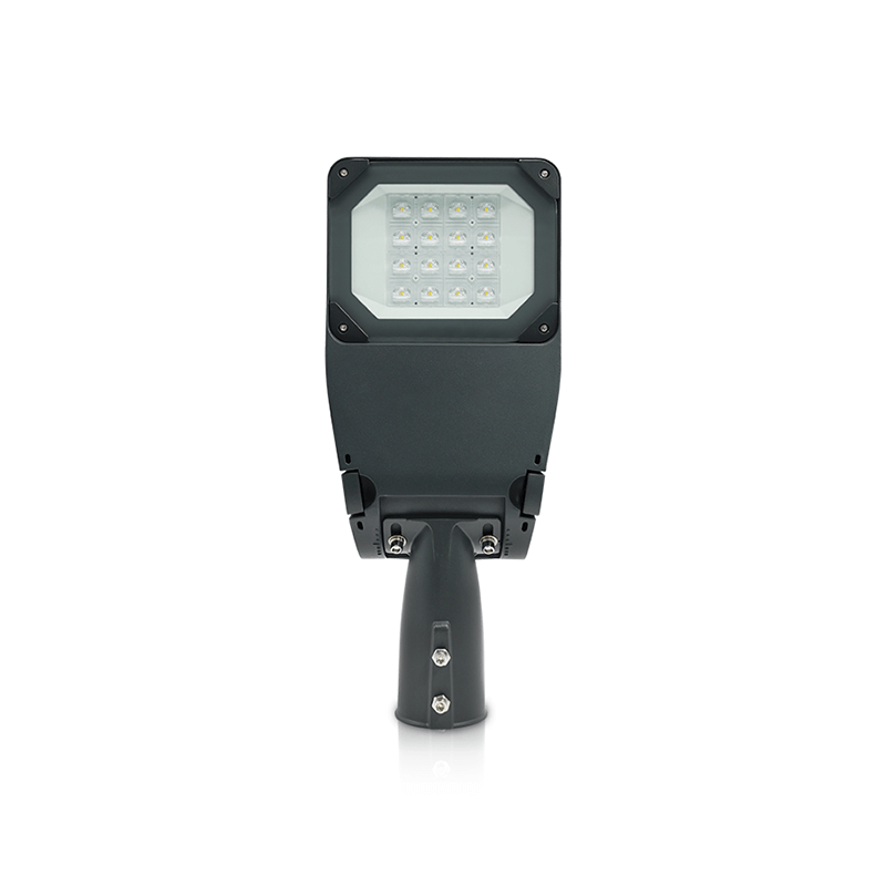 LED Straatlamp 30W | ESHER | IP66 | 150lm/w