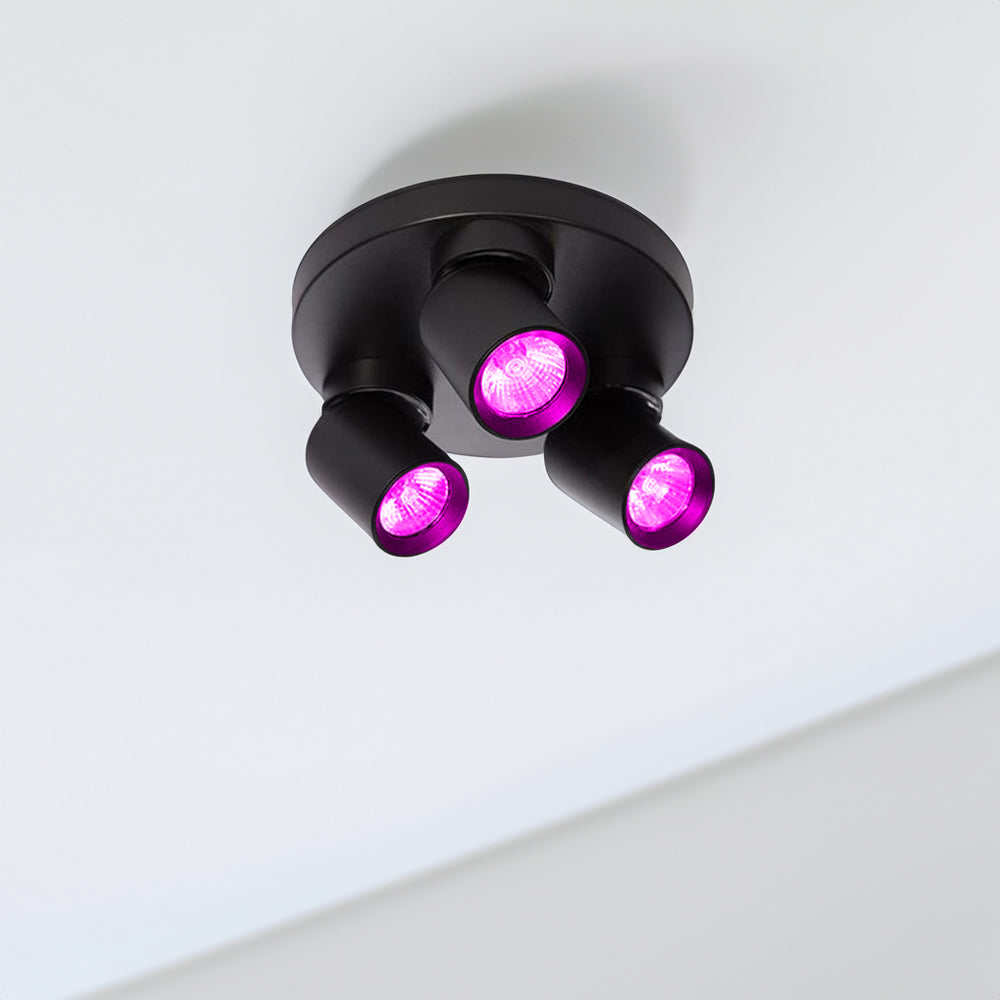Schwarzer Deckenstrahler mit drei verstellbaren Lichtpunkten und violettem LED-Licht, von unten betrachtet vor weißem Hintergrund.