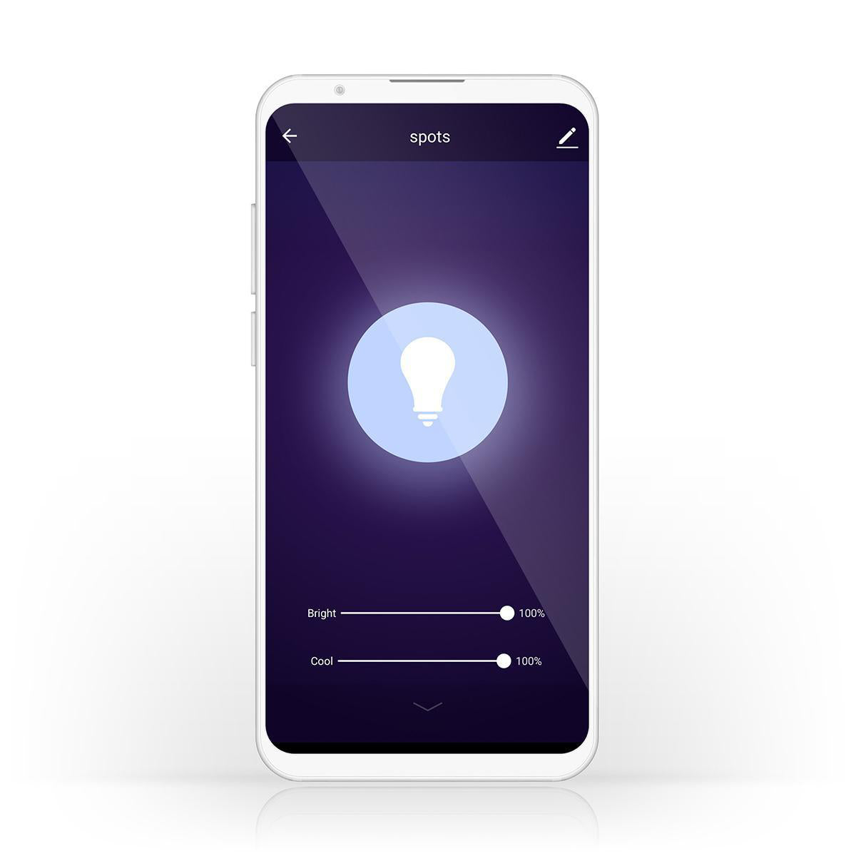Smartphone mit App-Oberfläche für Beleuchtung, Frontansicht des Bildschirms mit Lichtsteuerungseinstellungen wie Helligkeit und Kühle bei 100 %.