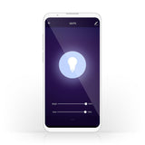 Smartphone mit App-Oberfläche für Beleuchtung, Frontansicht des Bildschirms mit Lichtsteuerungseinstellungen wie Helligkeit und Kühle bei 100 %.
