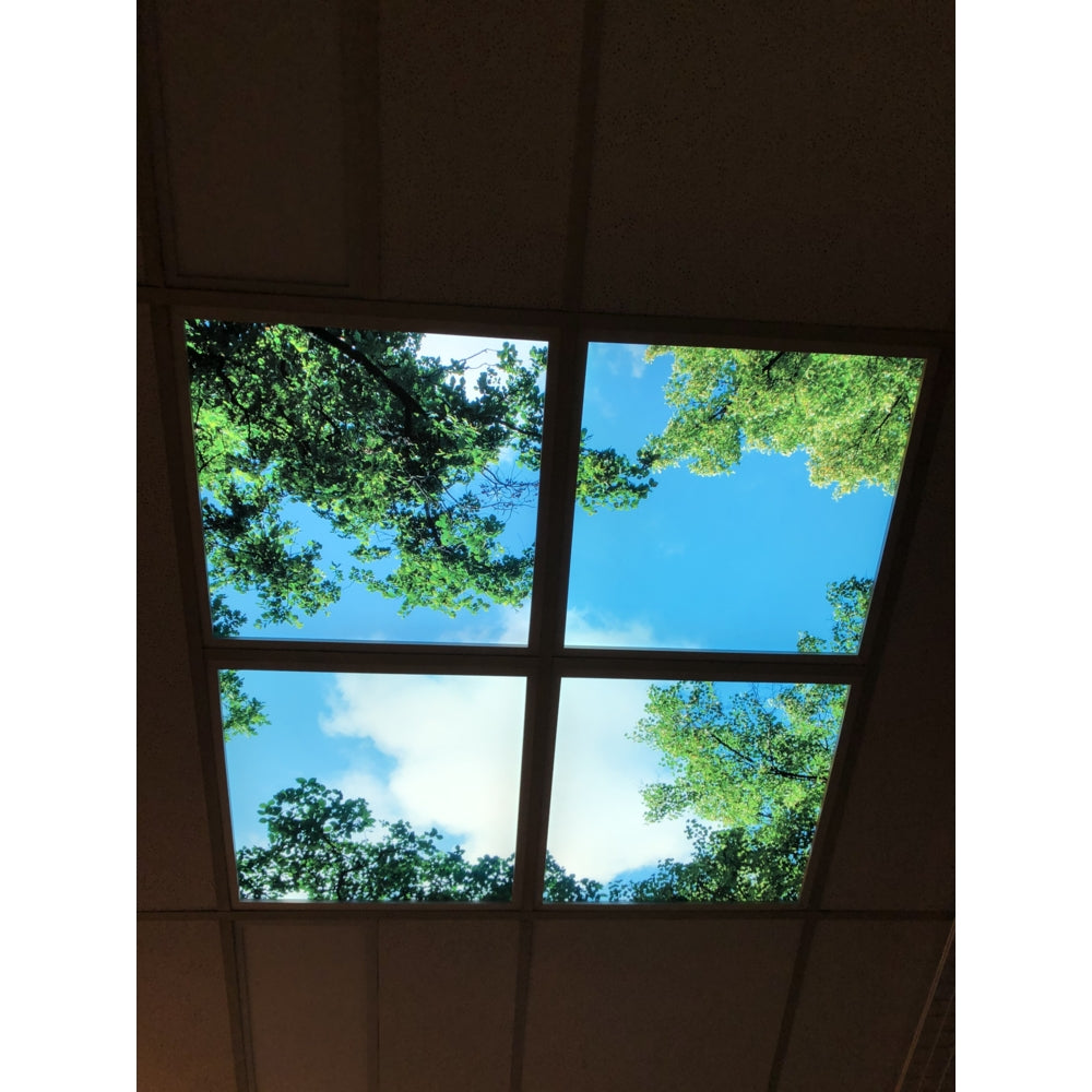 Deckenpaneel mit einem Naturdruck von blauem Himmel und grünen Baumkronen, von unten gesehen, konzipiert für abgehängte Decken, um eine beruhigende und natürliche Atmosphäre in Innenräumen zu fördern.