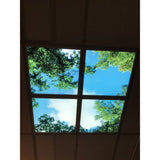 Deckenpaneel mit einem Naturdruck von blauem Himmel und grünen Baumkronen, von unten gesehen, konzipiert für abgehängte Decken, um eine beruhigende und natürliche Atmosphäre in Innenräumen zu fördern.