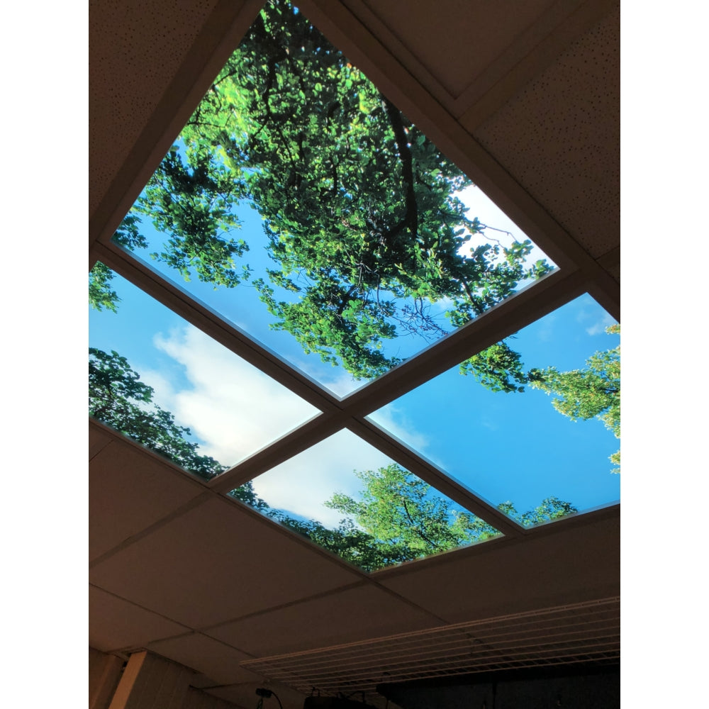 Deckenlichtpaneele mit Naturdruck – Draufsicht auf eine abgehängte Decke mit vier LED-Paneelen, die ein realistisches Bild eines blauen Himmels und grüner Äste zeigen und so eine beruhigende und natürliche Atmosphäre in Innenräumen schaffen sollen.