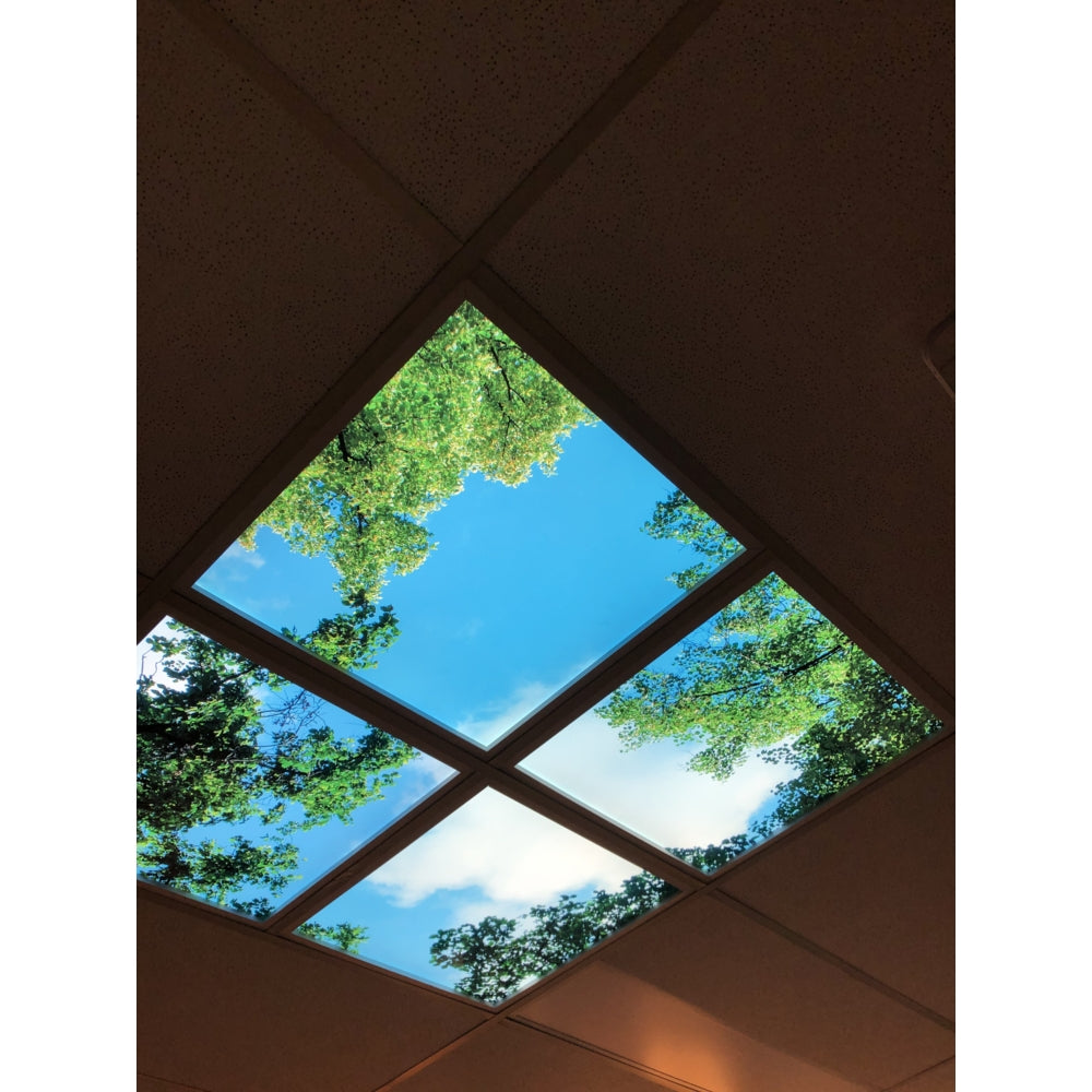 LED-Deckenpaneel mit Naturdruck – Unteransicht einer abgehängten Decke mit vier LED-Paneelen, die ein realistisches Bild eines blauen Himmels und grüner Baumkronen darstellen und so für eine beruhigende und natürliche Optik in Innenräumen sorgen.
