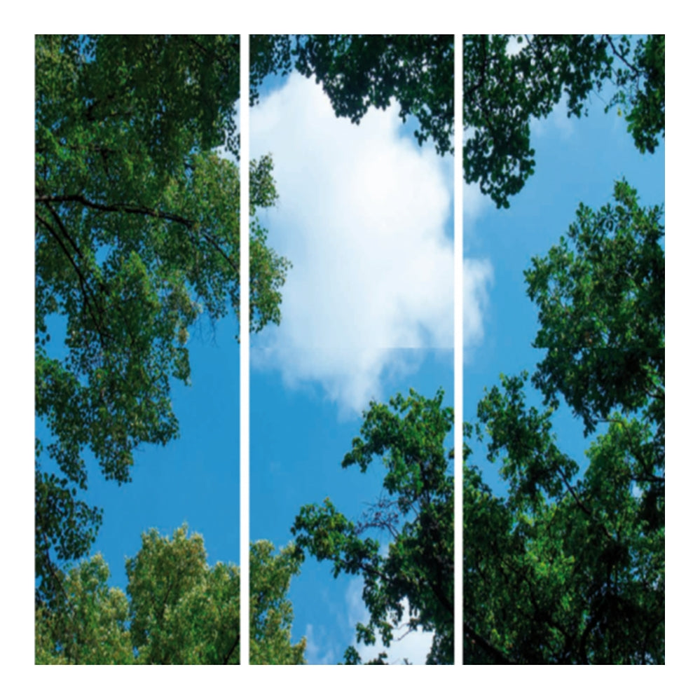 Dekoratives Triptychon auf Leinwand mit einer Ansicht von unten auf grüne Baumkronen vor einem klaren blauen Himmel mit weißen Wolken, Draufsicht.