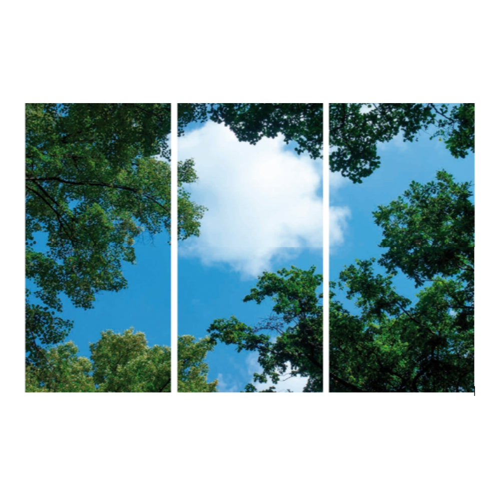 Dreiteiliges Wandbild mit einer Draufsicht auf grüne Baumkronen vor einem klaren blauen Himmel mit Wolken.